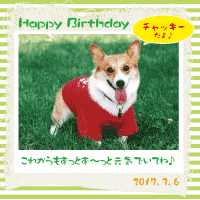 �y�b�g�̒a�����@����
