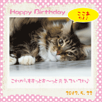 �y�b�g�̒a�����@�s���N