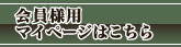 lp}Cy[W͂