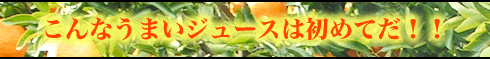 Ȃ܂W[X͏߂ĂII