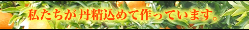 わたしたちが丹精こめて作っています