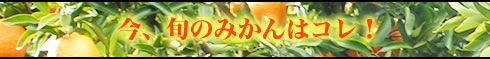 A{݂̂̓RI